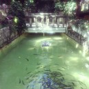 Pond in some restaurant near Cetina river (going to Dubrovnik)