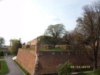 IMG_2832